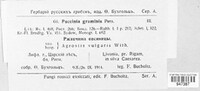 Puccinia graminis image